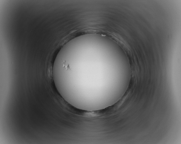 X0000099520425200805151036