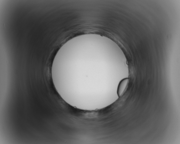 X0000099520426200805151036