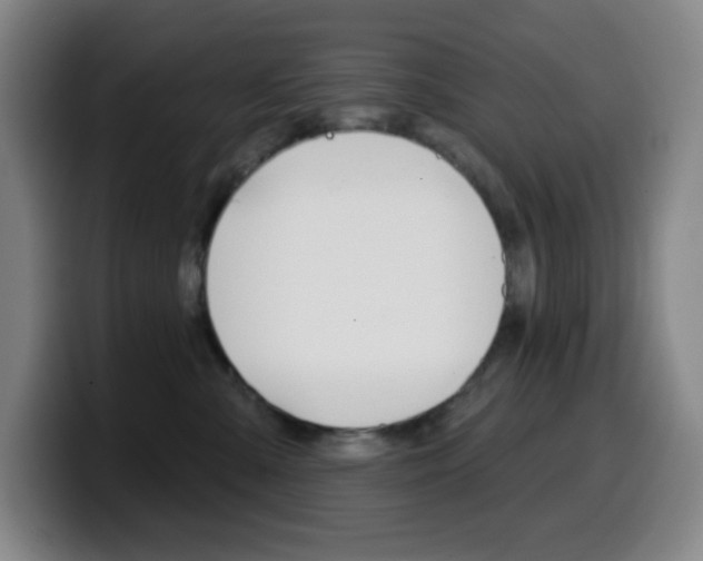 X0000099520427200805151036