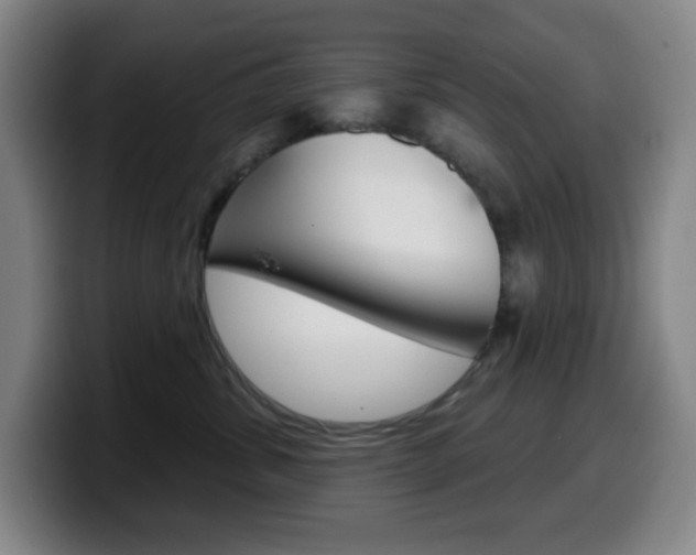 X0000099520428200805151036