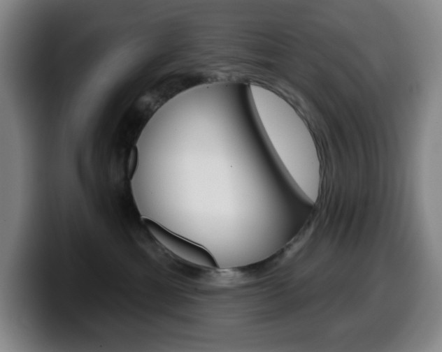 X0000099520429200805151036