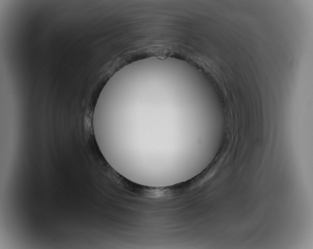 X0000099520432200805151036