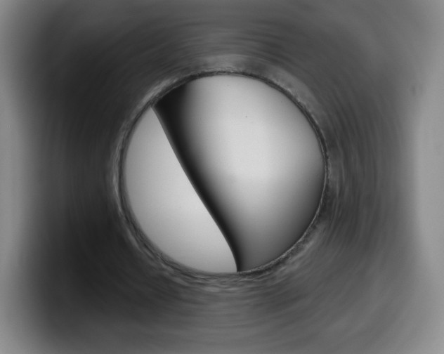 X0000099520434200805151036