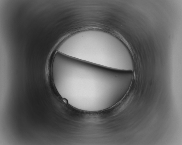 X0000099520435200805151036