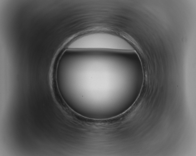 X0000099520436200805151036