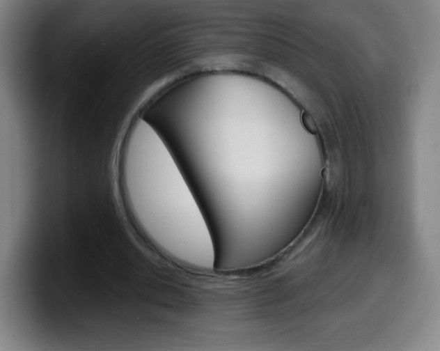 X0000099520438200805151036