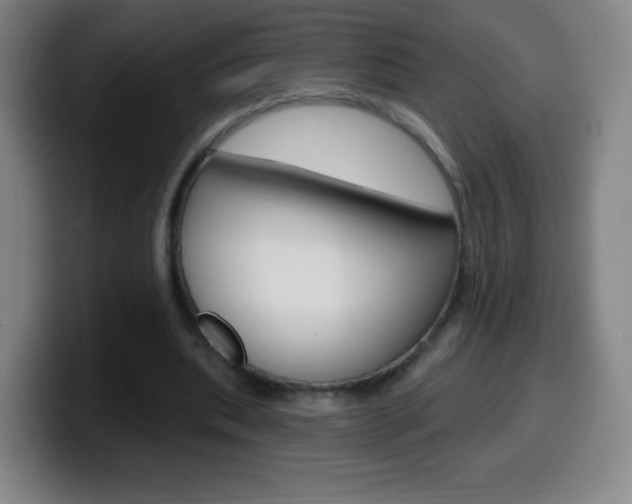 X0000099520439200805151036