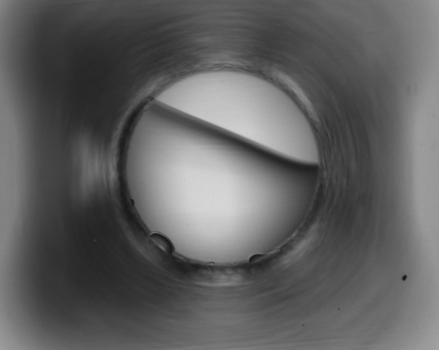 X0000099520443200805151036