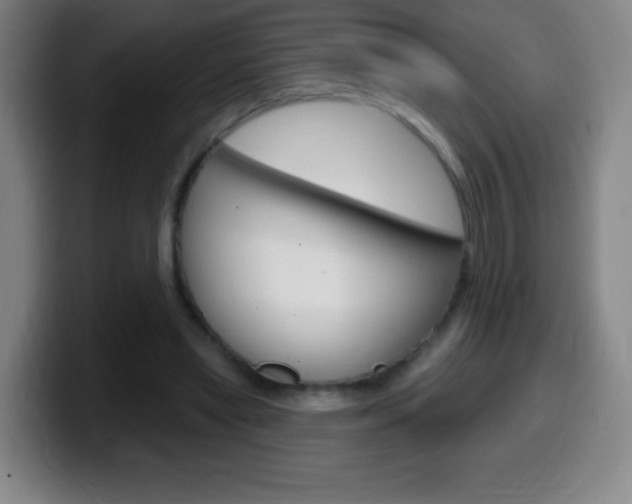 X0000099520445200805151036