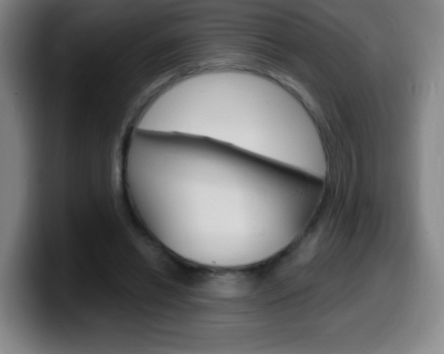X0000099520446200805151036