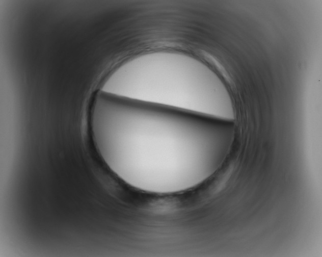 X0000099520447200805151036