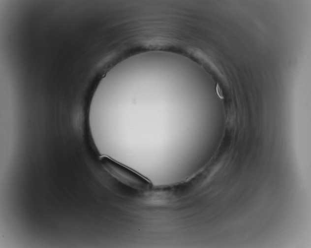 X0000099520448200805151036