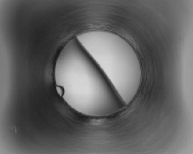 X0000099520450200805151036