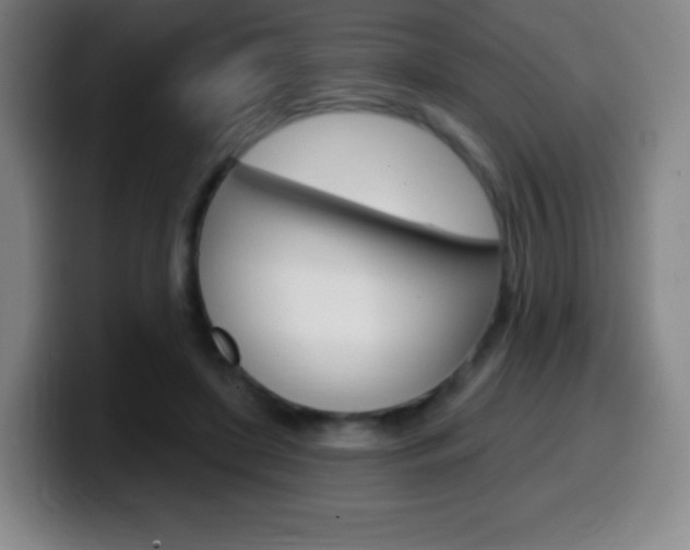 X0000099520451200805151036