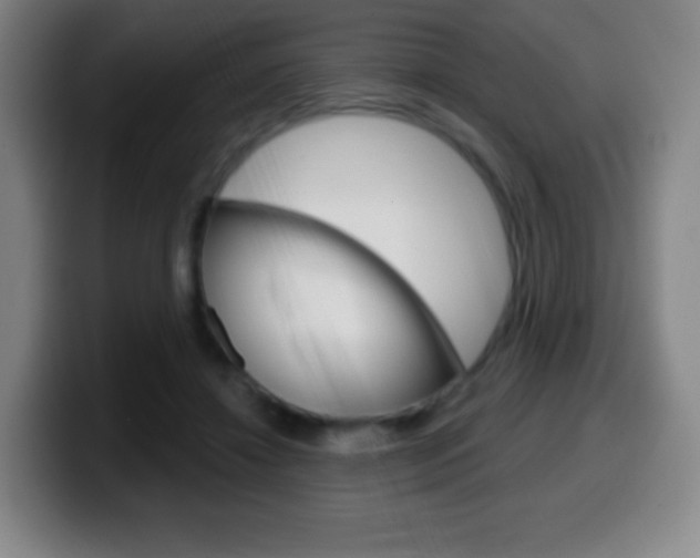 X0000099520452200805151036
