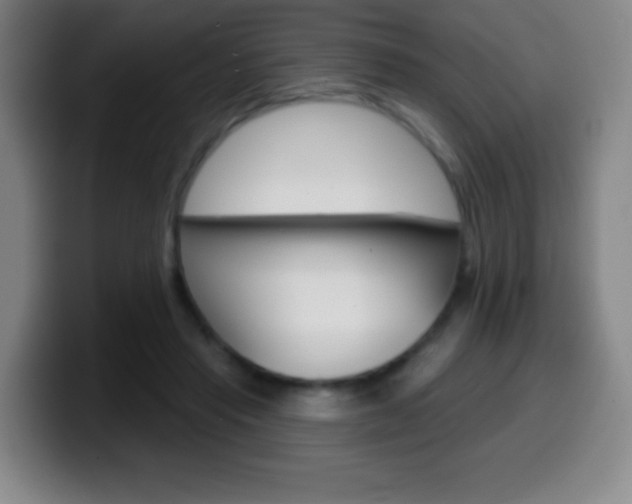 X0000099520453200805151036