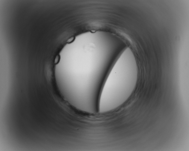 X0000099520455200805151036