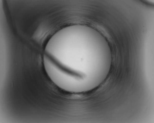 X0000099520457200805151036