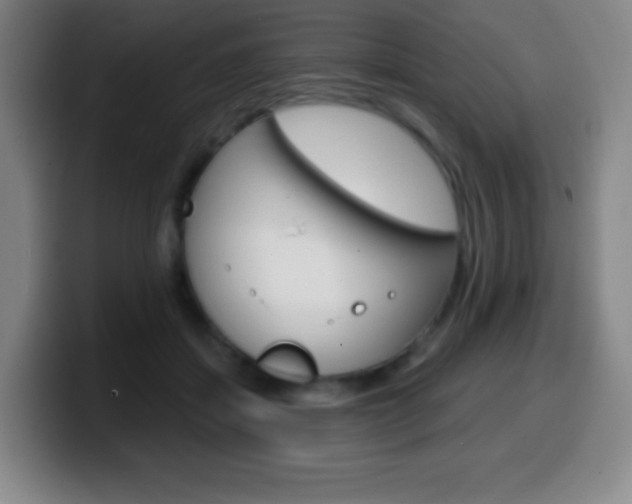 X0000099520459200805151036