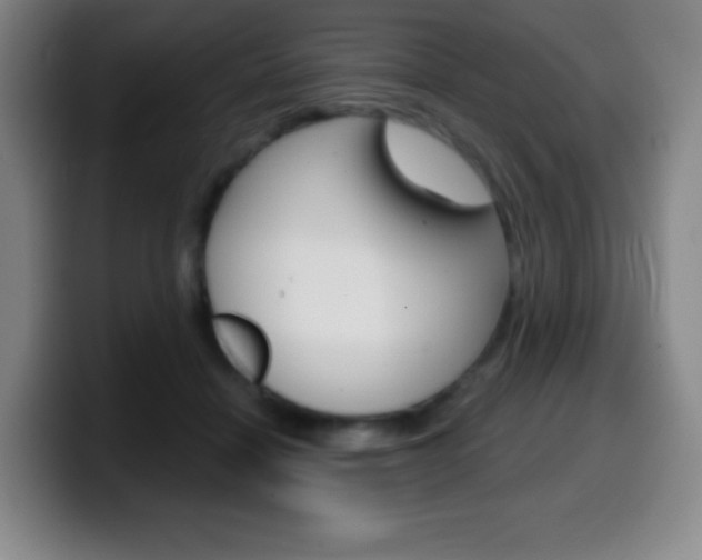 X0000099520460200805151036