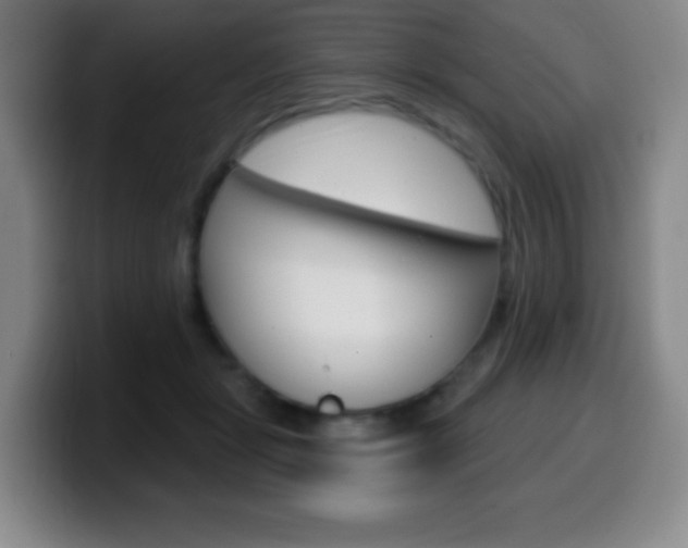 X0000099520461200805151036