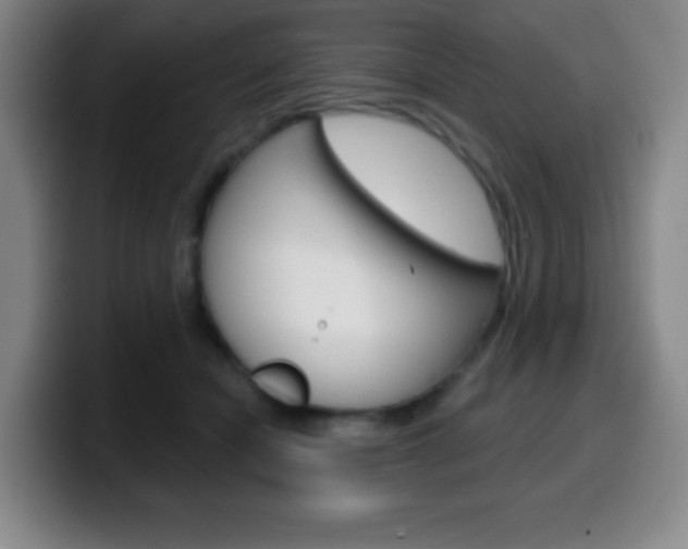 X0000099520462200805151036
