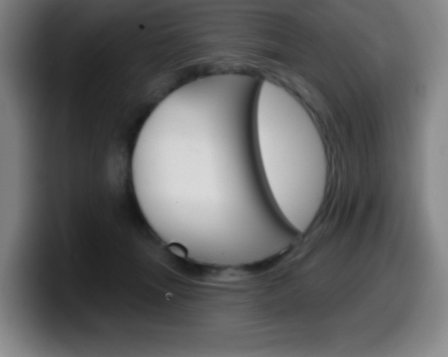 X0000099520463200805151036