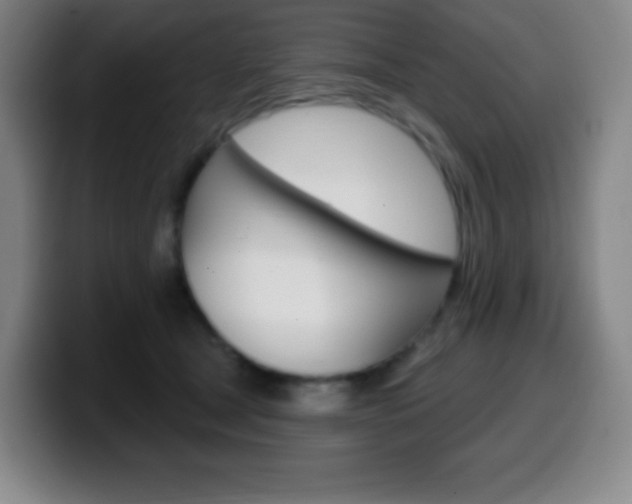 X0000099520465200805151036