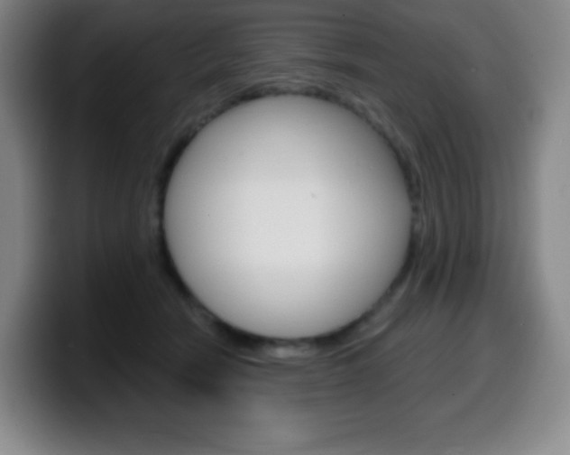 X0000099520466200805151036
