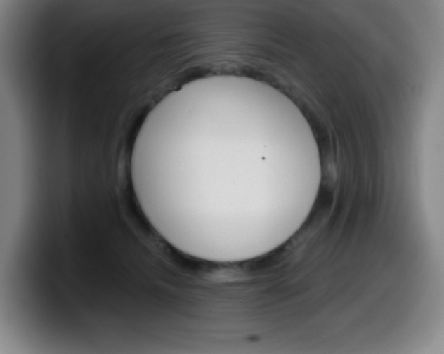 X0000099520468200805151036