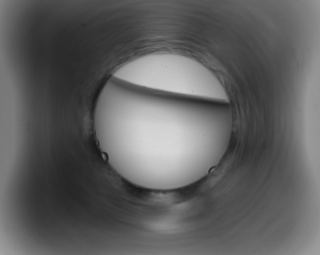 X0000099520469200805151036