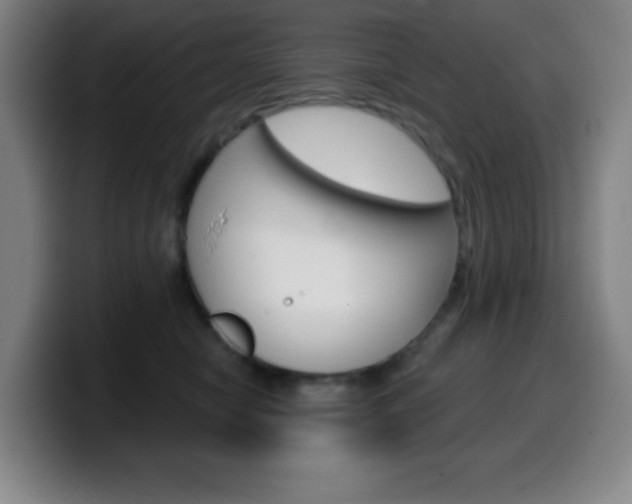 X0000099520470200805151036