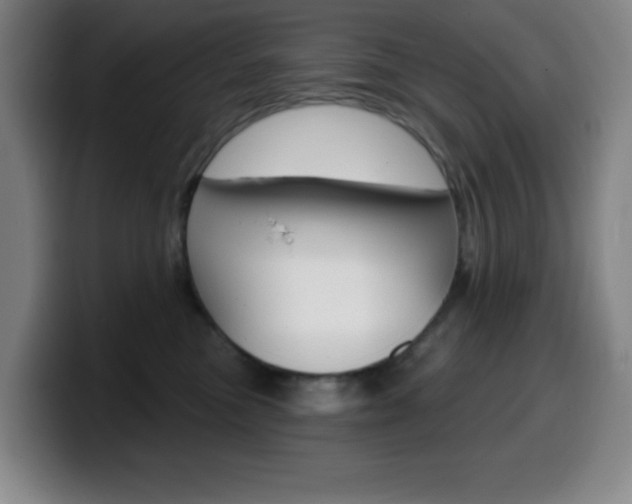 X0000099520473200805151036