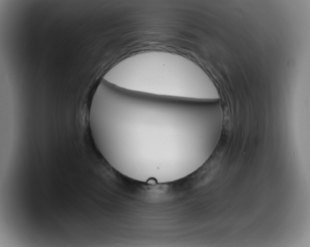 X0000099520474200805151036