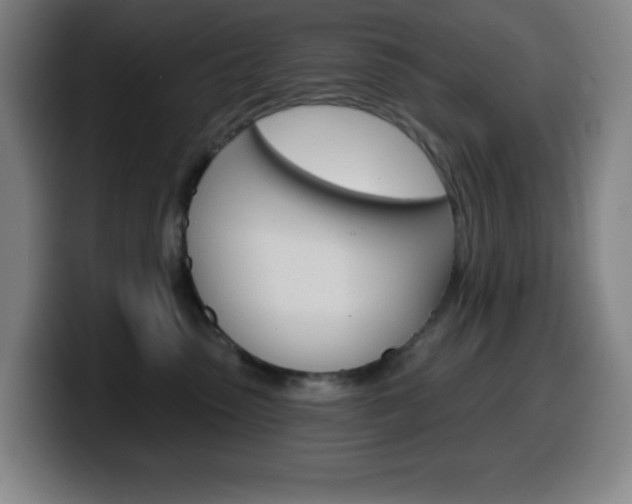 X0000099520475200805151036