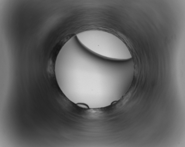 X0000099520477200805151036