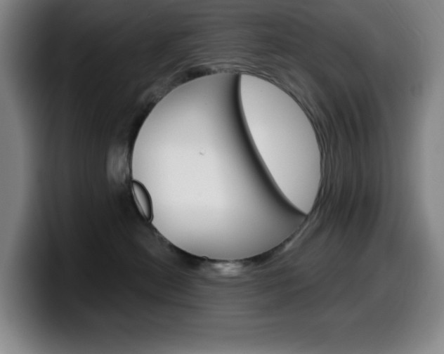 X0000099520478200805151036