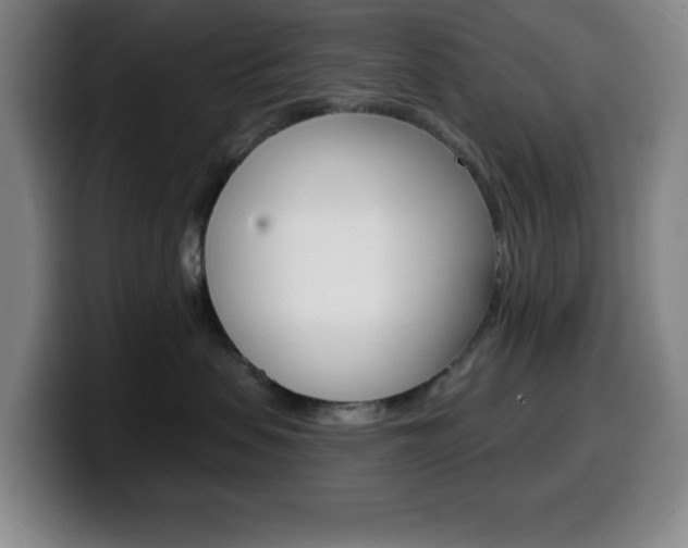 X0000099520479200805151036