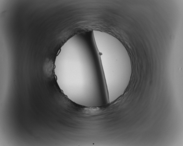 X0000099520480200805151036