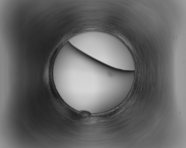 X0000099520482200805151036