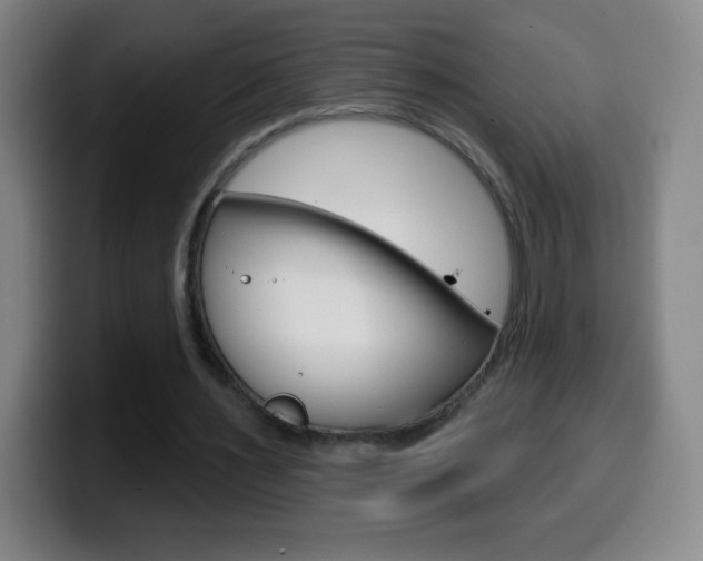 X0000099520483200805151036