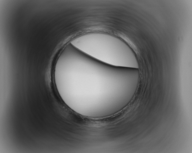 X0000099520486200805151035