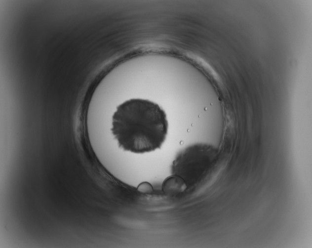 X0000099520487200805151035