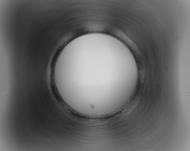 X0000099520490200805151035
