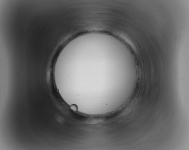X0000099520491200805151035