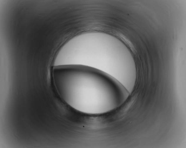X0000099520493200805151035