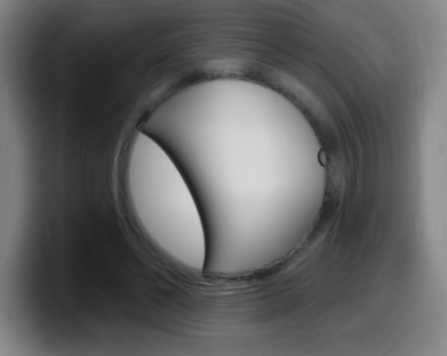 X0000099520494200805151035