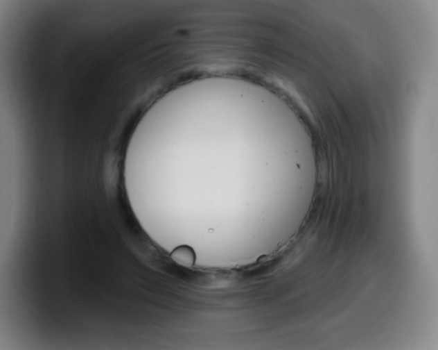 X0000099520495200805151035
