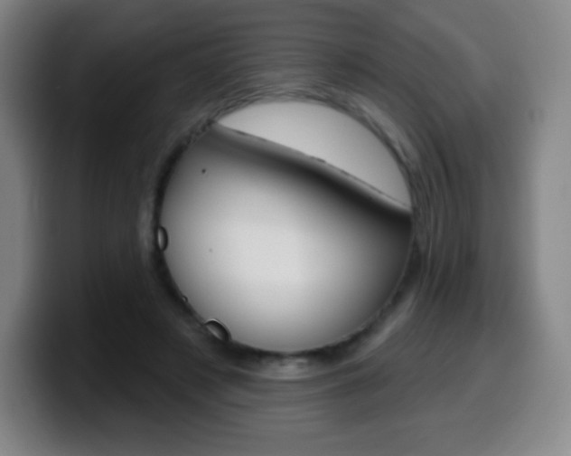 X0000099520497200805151035