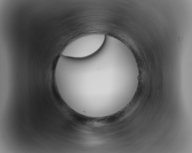 X0000099520498200805151035